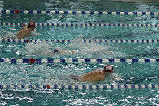 九游下载官网-中国游泳运动员世锦赛接力项目表现抢眼，中国游泳接力夺金